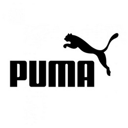 Puma lipdukas be fono 15 x 8 cm