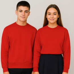 Schoolino džemperis