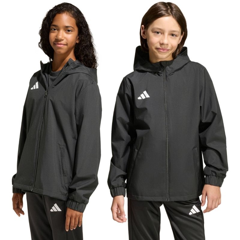Adidas striukė