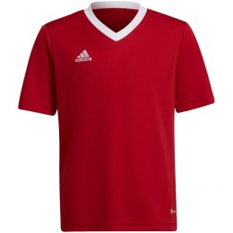 Adidas marškinėliai