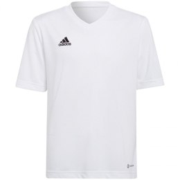 Adidas marškinėliai