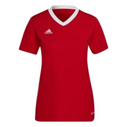 Adidas marškinėliai