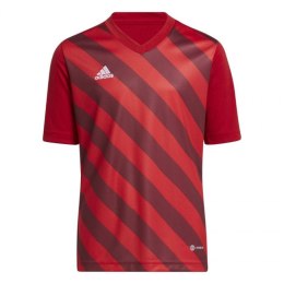 Adidas marškinėliai